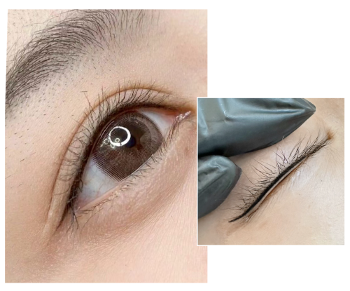 霧唇眼線項目01__工作區域 2 複本 2